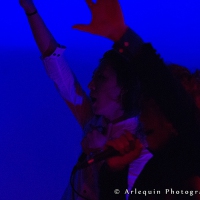 adams_2015_den_haag_065