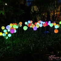 event_light_nights_magic_forest_2022_008