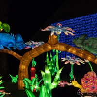 event_light_nights_magic_forest_2022_027