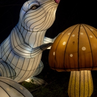 event_light_nights_magic_forest_2022_068