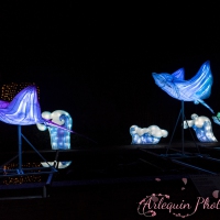 event_light_nights_aqualuna_2022_003