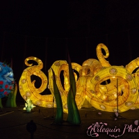 event_light_nights_aqualuna_2022_004