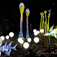 event_light_nights_aqualuna_2022_009