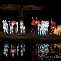 event_light_nights_aqualuna_2022_010