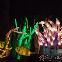 event_light_nights_aqualuna_2022_012