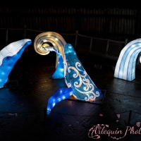 event_light_nights_aqualuna_2022_024