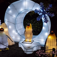 event_light_nights_aqualuna_2022_035