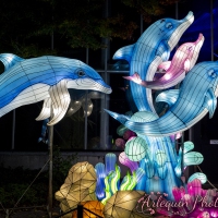 event_light_nights_aqualuna_2022_044