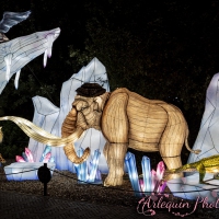 event_light_nights_treasures_of_time_2023_035