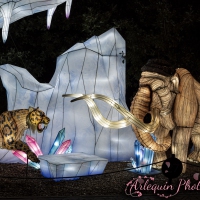 event_light_nights_treasures_of_time_2023_036