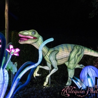 event_light_nights_treasures_of_time_2023_042