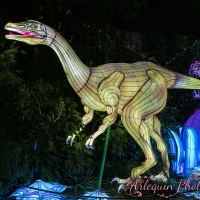 event_light_nights_treasures_of_time_2023_044