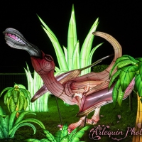 event_light_nights_treasures_of_time_2023_048