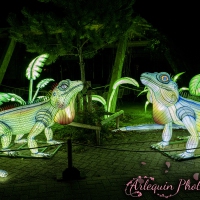 event_light_nights_treasures_of_time_2023_049